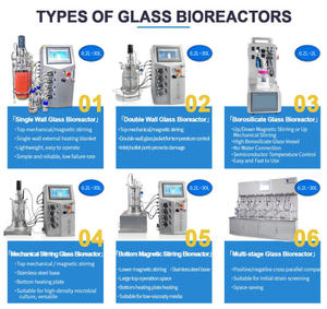 Biorreattore Continuo Automatico in Vetro da 30L con Controllo PLC, Pompa e Controllo PH/Temperatura/Antischiuma per Fermentazione di Lieviti in Laboratorio su Piccola Scala - Product Image 4