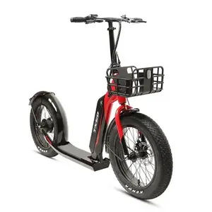 TXED 20" Hot Sell 36V Electric Skateboard Bicycles Fat Tire 2 Wheel Electric Scooters For Adults