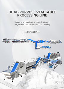 Komplette Automatisierte Gemüse- und Salat-Verarbeitungslinie zum Schneiden, Waschen, Trocknen und Wiegen von Blattgemüse und Salat - Product Image 4