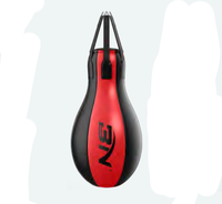 Sac de frappe lourd BN avec chaînes pour l'entraînement de boxe, MMA, Muay Thai, crochet de suspension au plafond, sac de sable