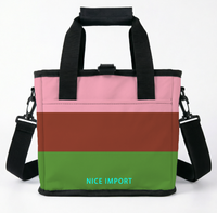 Sac isotherme pliable arc-en-ciel Genderqueer pour le travail, le camping, étanche et anti-fuite avec bandoulière