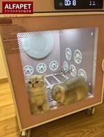 Vente en gros de séchoir automatique pour animaux de compagnie, armoire sèche-cheveux de grande capacité, ultra silencieuse, vent chaud 360 pour chien et chat