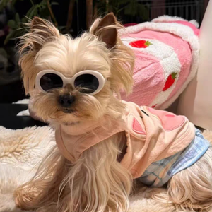 Lentes de Sol para Mascotas, Gafas de Sol para Perros y Gatos, Gafas de Cosplay para Cachorros y Gatitos - Product Image 4