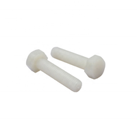 Boulon en plastique et Nylon à tête hexagonale, 10 pièces, filetage complet, DIN 933, PA66 en lot
