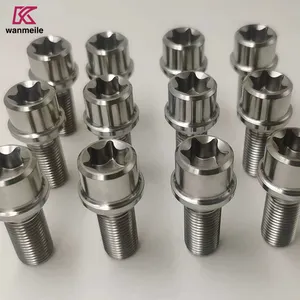 Baoji Precision Titanium Bolts