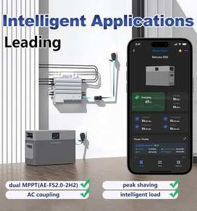 Deye Ess 배터리 Ae-fs2.0-2h2 2kwh 4kwh 6kwh 10kwh 리튬 철 태양 광 Lifepo4 외부 사용을위한 인버터 배터리 도매 - Product Image 2