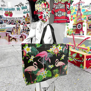 Bolsas de Compra Reutilizables Ecológicas Promocionales al por Mayor, Bolsas de Tela No Tejida con Diseño Personalizado, Bolsas de Supermercado Laminadas en PP - Product Image 2