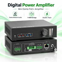 Amplificateur de puissance compact DQINFOS 2 canaux Dante Mini en métal, mixeur stéréo