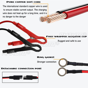 Cargador y Mantenedor de Baterías de Coche 12V 1.2A con Pantalla Táctil y Reparación por Pulsos para Carga Rápida de Baterías de Plomo-Ácido Húmedas y Secas de Automóviles y Motos - Product Image 4