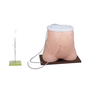 Maniquí de Diálisis Peritoneal de PVC para Entrenamiento de Habilidades Médicas de Enfermería, Recursos de Enseñanza de Suministros Médicos, Modelo de Ciencia Médica - Product Image 1