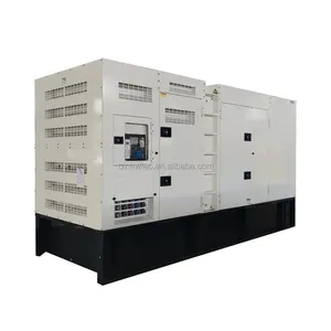 250kw Diesel Centrale 300kva 313kva Generator Voor Commercieel Gebruik Generator 300 Kva Met Cummins Motor