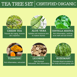 Private Label vitamina C cosmetici per la cura della pelle biologica sapone esfoliante per rimuovere le macchie scure lozione per il corpo Tea Tree cura cura della pelle Set - Product Image 4