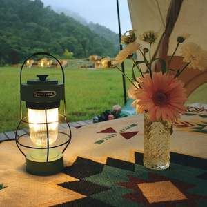 Lampe rétro LED, lanterne de camping, 550 Lumens, rechargeable, Portable, lumière de tente d'extérieur, Source de lumière blanche chaude - Product Image 3