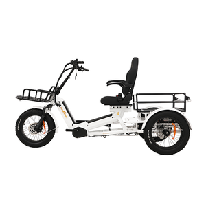 Triciclo Eléctrico de 3 Ruedas de Alta Calidad en Oferta, para Adultos, Doble Asiento, Carga Pesada, Abierto, 2500W, Precio Económico - Product Image 2