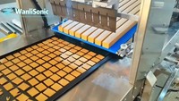 Machine de découpe de biscuits et de gâteaux à ultrasons Wanlisonic à haute productivité, directement de l'usine