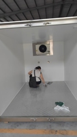 Remorque frigorifique miniature DC/AC pour la livraison d'aliments surgelés