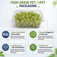 Boîte en plastique PET transparent ventilée et écologique de 500 g pour l'emballage de fruits frais