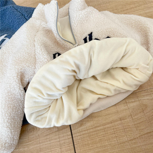 Vendita calda inverno bambino vestiti caldi per bambini <span class=keywords><strong>felpe</strong></span> <span class=keywords><strong>con</strong></span> cappuccio per bambino bambino in pile mezza <span class=keywords><strong>cerniera</strong></span> felpa <span class=keywords><strong>con</strong></span> scritta a collo alto - Product Image 3