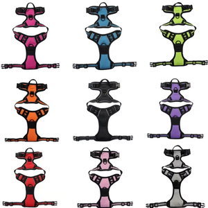 Fishprinses 2025 Classic Hot Sell Verstelbare Hondenharnas Riem Kraag Set Mode Stijl Premium Nylon Materiaal - Product Image 3