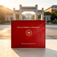 Livre personnalisé en cuir PU avec logo en feuille d'or et texte personnalisé pour la remise des diplômes universitaires et scolaires