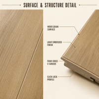 Plancher stratifié à surface légèrement embossée ENF, système de pose par clic, 1214 x 200, 10 mm, pour la rénovation de la maison, les projets de construction