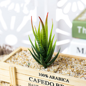 Nuovo disegno faux live <span class=keywords><strong>piante</strong></span> succulente <span class=keywords><strong>artificiali</strong></span> - Product Image 6