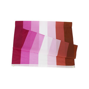 1 pieza disponible lista para enviar 3x5 pies 90x150cm LGBT Arco Iris homosexual lápiz labial beso labio orgullo lésbico bandera - Product Image 2