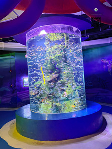 Aquarium mural en acrylique carré grand cylindre cube, aquarium pour poissons d'eau salée en plastique de 50 mm 60 mm - Product Image 4