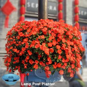 Maceta Colgante para Jardín Vertical, Poste de Lámpara con Jardinera, Producto Más Vendido - Product Image 1