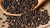 Schwarzer Pfeffer Gewürze Kräuter Getreide Cassia Sternanis Chili Samen Getrocknet Vietnam 50kg Großhandel Exporteur Hohe Qualität 2 Jahre Haltbarkeit
