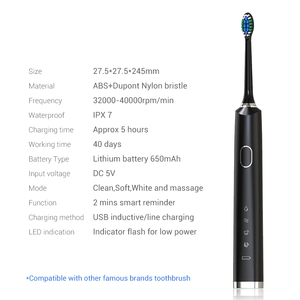 HL-618A Brosse à dents électrique sonique à 40 000 fréquences, rechargeable par USB, brosse à dents vibrante, vente en gros - Product Image 4