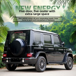 سيارة كهربائية جديدة مغلقة بالكامل للاستخدام المنزلي سكوتر للتنقل ثنائي الاستخدام بالغاز لكبار السن سيارة طاقة جديدة ممتعة - Product Image 3