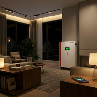 Batterie LiFePO4 empilable 16 kWh 51,2 V 314 Ah, pack de batteries divisibles, hybride, pour système solaire domestique, avec RS485, indice de protection IP54, garantie 10 ans, 50 kW