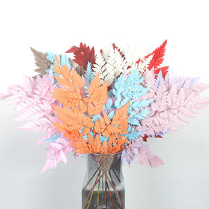 Foglie di <span class=keywords><strong>Felce</strong></span> Arachniodes Preservate, <span class=keywords><strong>Felce</strong></span> in Pelle Multicolore, Foglia Piatta Essiccata per Bouquet Floreali dalla Fabbrica dello Yunnan - Product Image 5