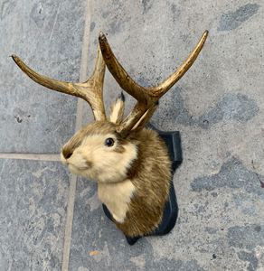 Tête de Lapin de Pâques pour Enfants, Tête de Lapin en Peluche avec Cornes de Cerf en Plastique, Style Adorable pour Décorations Murales d'Événements Festifs - Product Image 5