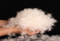 RDS Norme européenne duvet de canard blanc naturel entièrement lavé et duvet d'oie blanche 600/700/800/1000 Puissance de remplissage de haute qualité