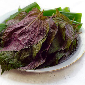 Fabricantes al por mayor Bulk Mint 1kg <span class=keywords><strong>extra</strong></span> Virgin Perilla Seed Oil - Product Image 5