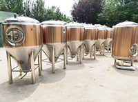 Fermenteurs coniques à enveloppe de 1000 L pour la bière, système de brassage en cuivre rouge
