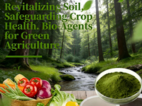 Bacillus Subtilis Agrícola CAS 6051-45-6 |   Biofertilizante, Mejorador del Suelo y Promotor del Crecimiento de Cultivos, Inhibidor de Enfermedades Transmitidas por el Suelo