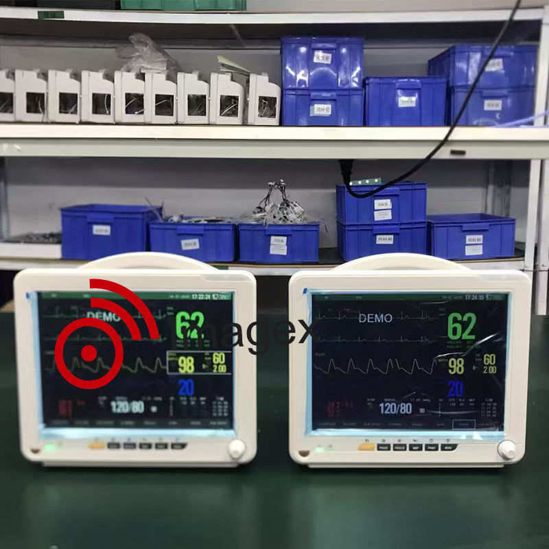 Veterinary Anesthesia and ICU Monitor with ECG SpO2 NIBP TEMP and EtCO2 ...