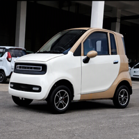 Voiture électrique homologuée pour la circulation routière en Europe, mini véhicule électrique avec 2 portes et 2 sièges, quatre roues, véhicule électrique pour adultes, certifié EEC COC L6e-B