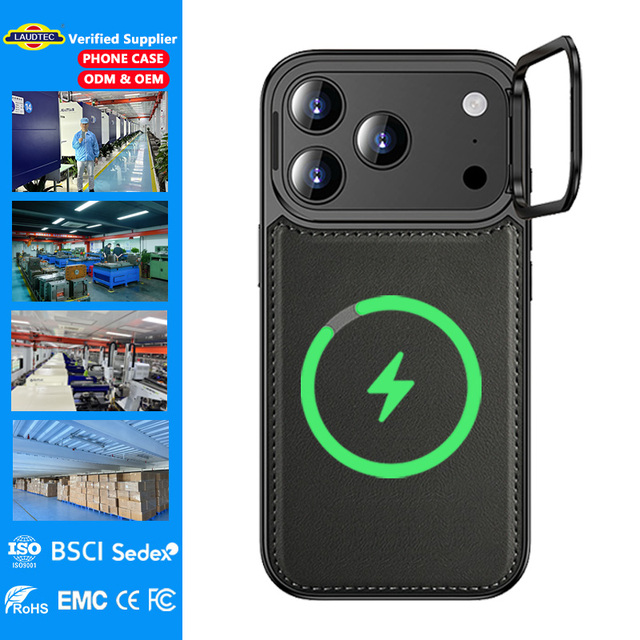 Luxury Leather Anti-Fingerprint Electroplated Phone Case for 15/16 17 18 Pro Max Card Holder Magnetic Flip Cover Custom
