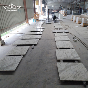 Goldtop Hot Selling Wholesale Polished Finish Andromeda <b>White</b> Granite Tiles with Standard Size for Floor and Wall Cladding - Product Image 2