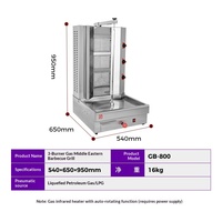Grill à gaz commercial pour barbecue moyen-oriental, machine à shawarma à trois/quatre/cinq têtes, rôtissoire à viande turque et brésilienne, garantie d'un an