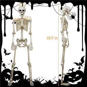 Achetez le squelette classique de 65 pouces grandeur nature de Spirit Halloween, accessoires animés et mobiles, décorations fantaisie pour Halloween - Product Image 3