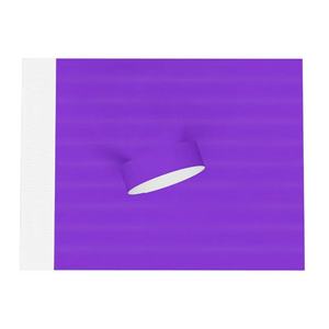 สายรัดข้อมือวัสดุกระดาษแบบใช้แล้วทิ้ง ดีไซน์ใหม่ VIP ป้องกันการปลอมแปลง กันน้ำ ทนทานต่อการฉีกขาด สำหรับเด็ก - Product Image 3