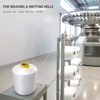 Fil tressé lourd 100 % polyester DTY 300/72 de qualité AA, certifié Oeko-Tex Standard 100, haute résistance pour le tissage de sangles de rembourrage