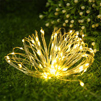Hochspannung IP67 LED Star Lights String Wasserdichte Outdoor Weihnachten dekorative Lichter für Bäume Sky Atmosphere Small Plastic