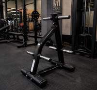 Support de rangement robuste et durable en acier pour plaques de poids, idéal pour les salles de sport et les clubs de fitness