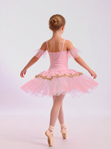 Anna Shi Nouveaux Designs Tutu de Danse Ballet en Spandex Rose Mat avec Applications Brodées Dorées - Product Image 4